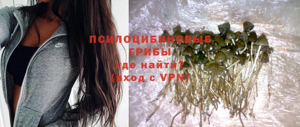 прущая мука Киреевск
